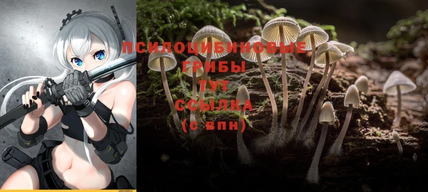 соль курить ск Магадан