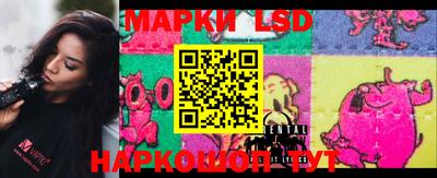 МДПВ Гай