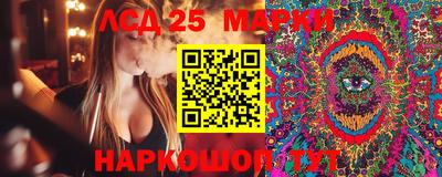 МДПВ Гай