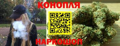 МДПВ Гай
