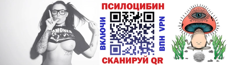 blacksprut ТОР  Гусь-Хрустальный  Галлюциногенные грибы MAGIC MUSHROOMS 
