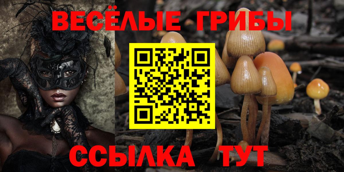 Галлюциногенные грибы GOLDEN TEACHER Гусь-Хрустальный