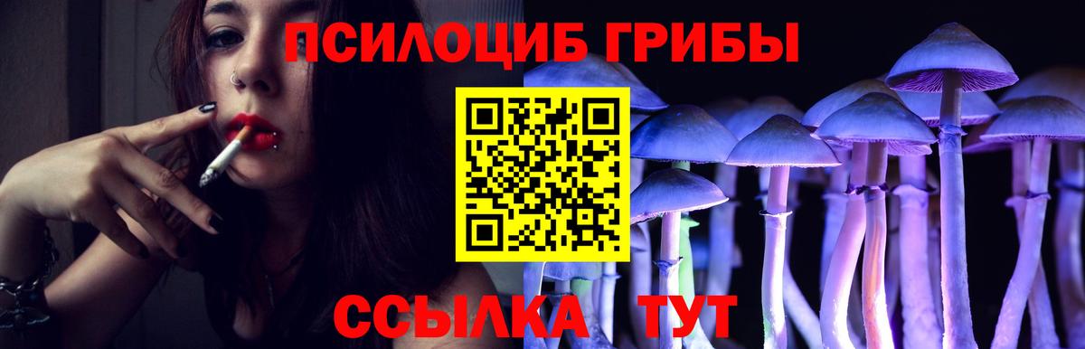 Галлюциногенные грибы Psilocybine cubensis  Псилоцибиновые грибы мицелий  Гусь-Хрустальный  Вход с VPN 